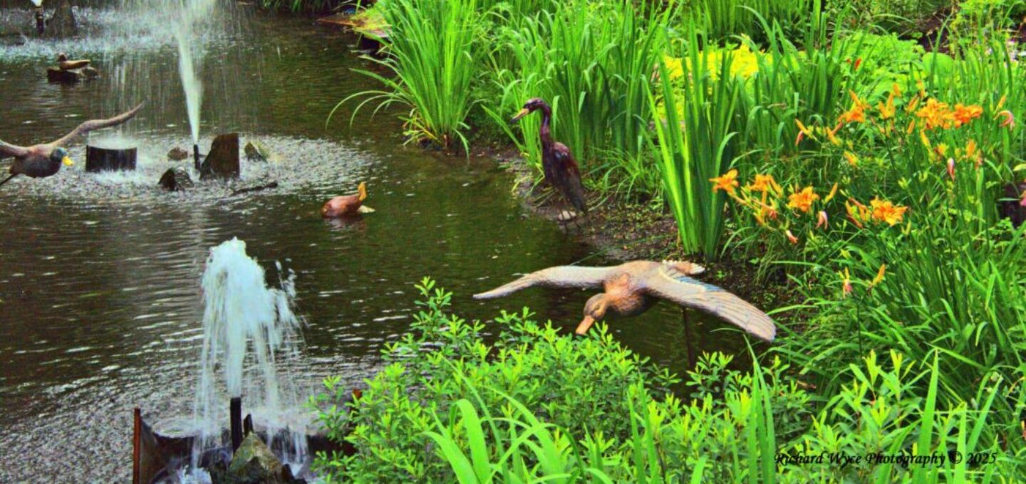 Intricate garden in saint sauveur