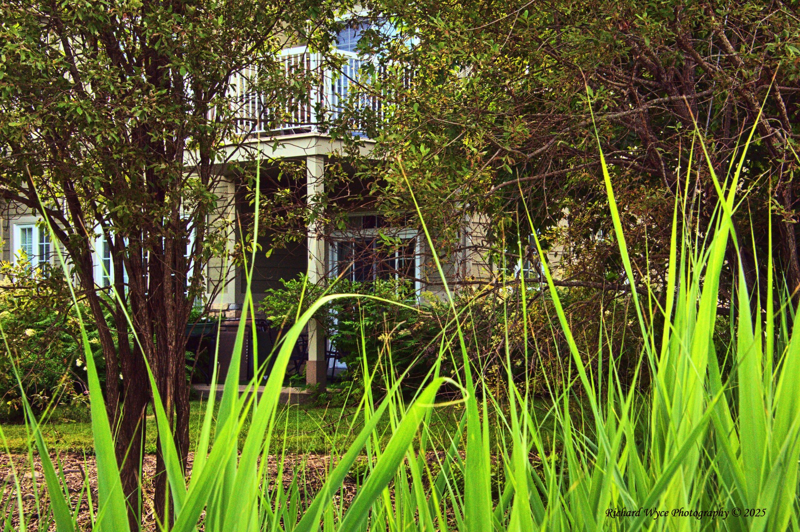 Outside condo Saint-Sauveur Summer 2025