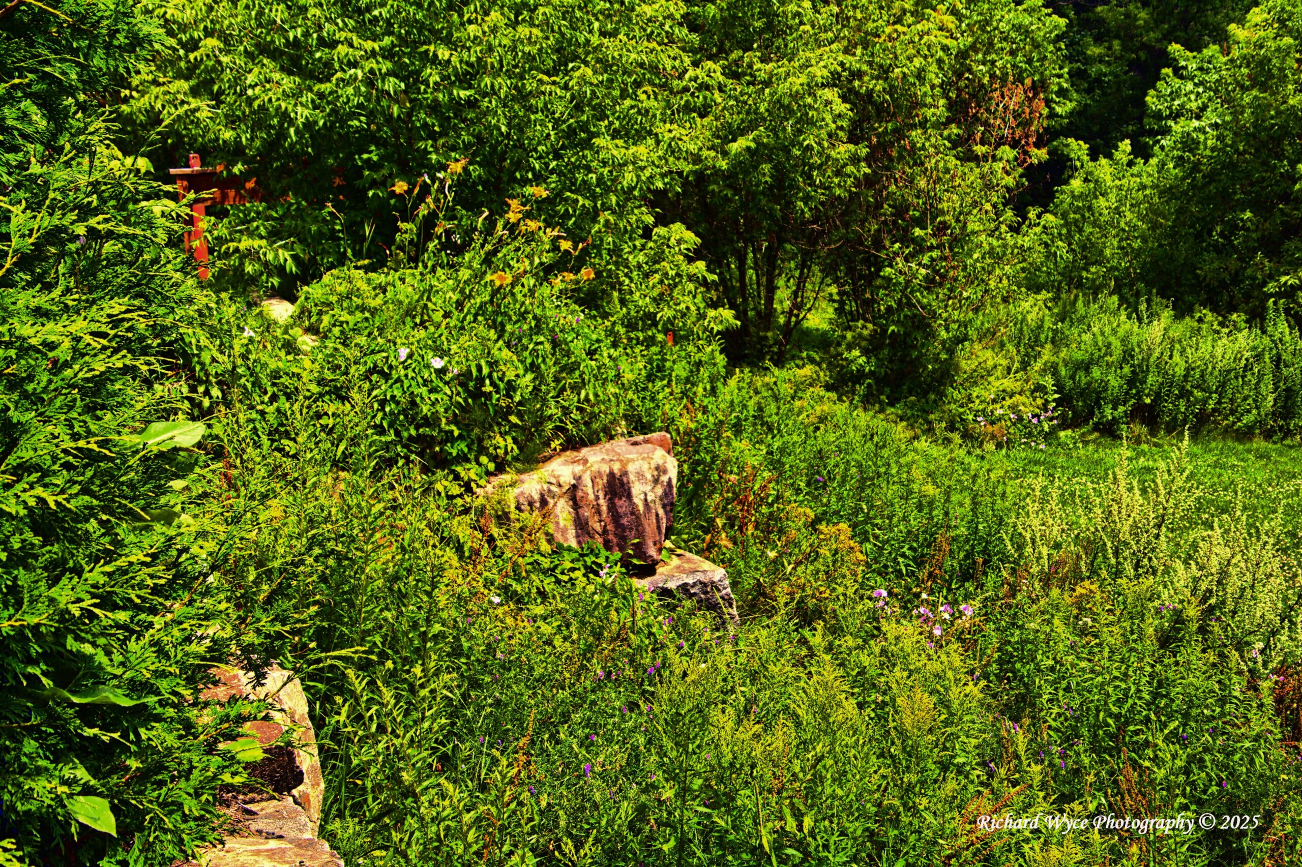 View of The gardens at Mickey's Morin Heghts QC 2025