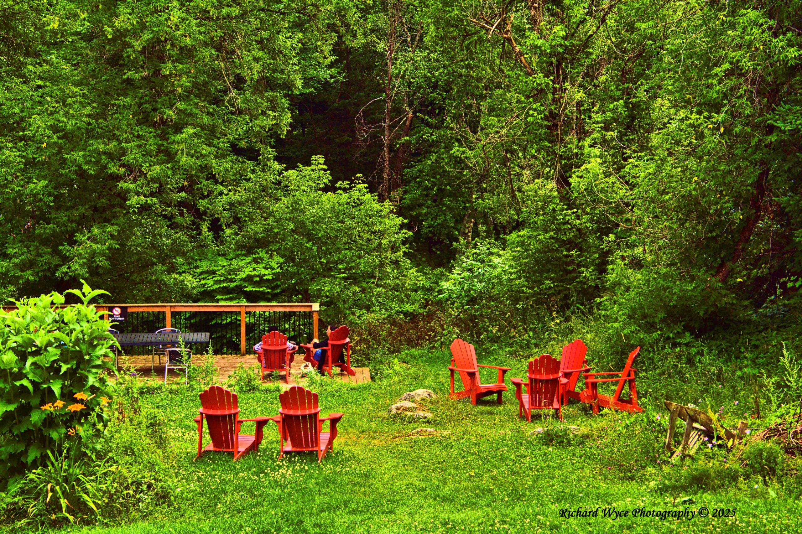 View of The gardens at Mickey's Morin Heghts QC 2025