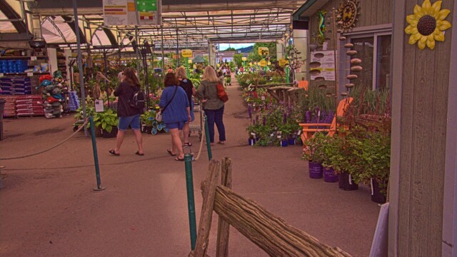 At Jardissimo Garden centre Colours June 2026