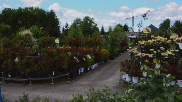 Jardissimo nursery #3 2026