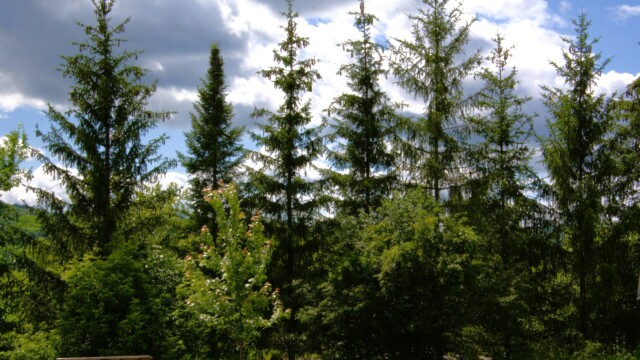 Near Jardissimo in Prevost QC 2026